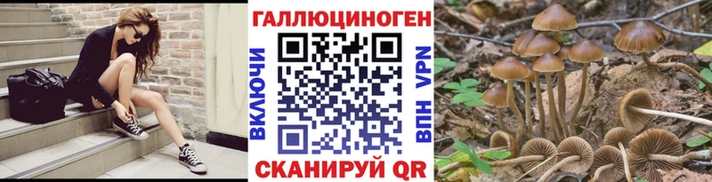 mega вход  Гремячинск  Галлюциногенные грибы Psilocybine cubensis 
